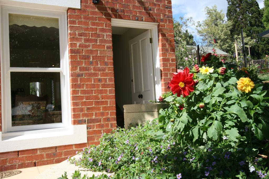 Annies Garden Cottage Hobart Exterior foto